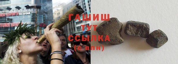 гидра Карпинск
