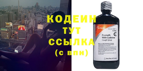 гидра Карпинск