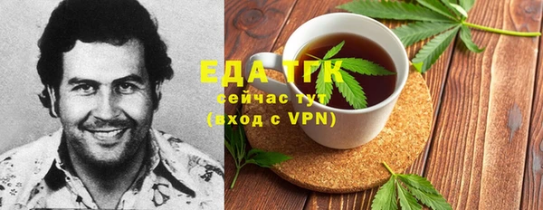 гидра Карпинск