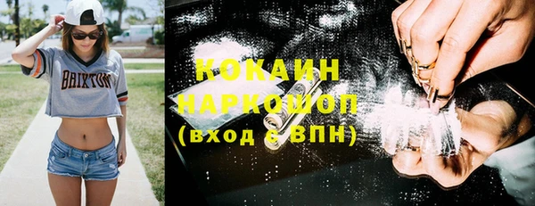 гидра Карпинск