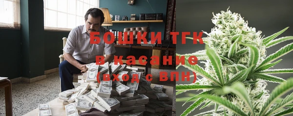 гидра Карпинск