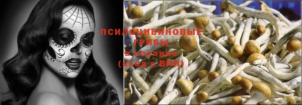 Альфа ПВП Каменск-Шахтинский