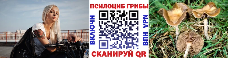 наркошоп  Среднеуральск  Псилоцибиновые грибы мухоморы 